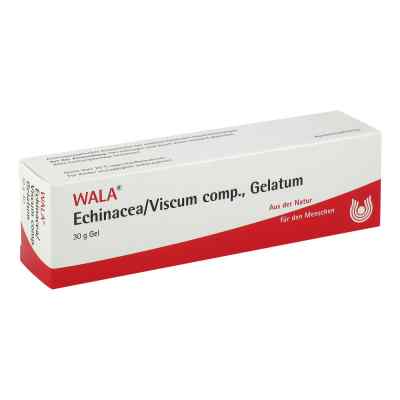 Echinacea/viscum compositus Gelatum 30 g von WALA Heilmittel GmbH PZN 02198348
