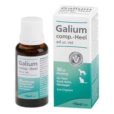 Galium Comp.-heel Tropfen für Hunde /Katzen/Kleinnag. 30 ml von Biologische Heilmittel Heel GmbH PZN 04658050