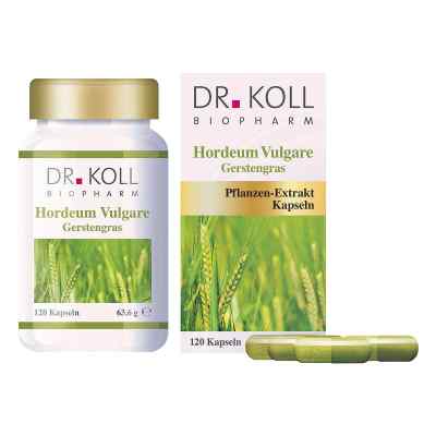 Gerstengras Hordeum vulgare Kapseln