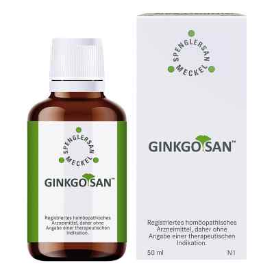Ginkgosan Tropfen 100 ml von Spenglersan GmbH PZN 12536042