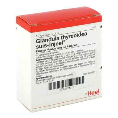 Glandula Thyreoidea suis Injeel Ampullen 10 stk von Biologische Heilmittel Heel GmbH PZN 00421316