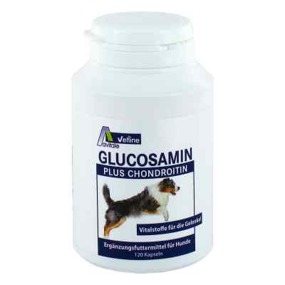 Glucosamin+chondroitin Kapseln für Hunde 120 stk von Avitale GmbH PZN 03025791
