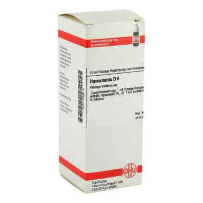 Hamamelis D6 Dilution 50 ml von DHU-Arzneimittel GmbH & Co. KG PZN 02899720