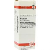 Hirudo D6 Dilution 20 ml von DHU-Arzneimittel GmbH & Co. KG PZN 07169682