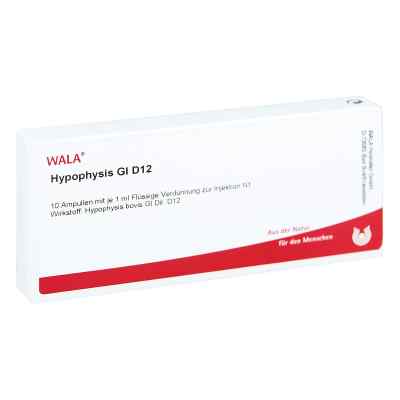 Hypophysis Gl D12 Ampullen 10X1 ml von WALA Heilmittel GmbH PZN 03357010