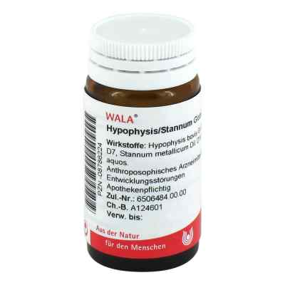 Hypophysis/stannum Globuli 20 g von WALA Heilmittel GmbH PZN 08786224