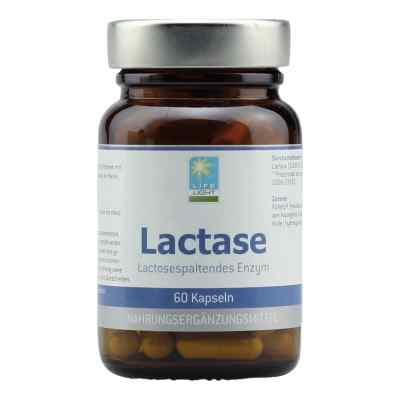 Lactase Kapseln