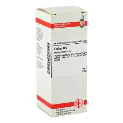 Ledum D6 Dilution 50 ml von DHU-Arzneimittel GmbH & Co. KG PZN 02802844