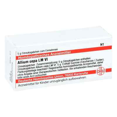 Lm Allium Cepa Vi Globuli 5 g von DHU-Arzneimittel GmbH & Co. KG PZN 04501271