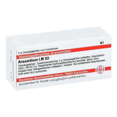 Lm Anacardium Xii Globuli 5 g von DHU-Arzneimittel GmbH & Co. KG PZN 04501561