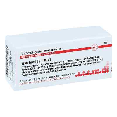 Lm Asa Foetida Vi Globuli 5 g von DHU-Arzneimittel GmbH & Co. KG PZN 04501934