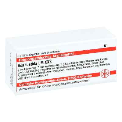 Lm Asa Foetida Xxx Globuli 5 g von DHU-Arzneimittel GmbH & Co. KG PZN 04501986