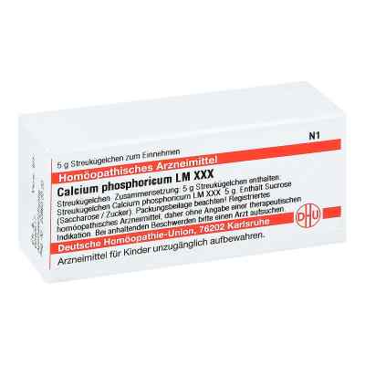 Lm Calcium Phosphoricum Xxx Globuli 5 g von DHU-Arzneimittel GmbH & Co. KG PZN 02677132
