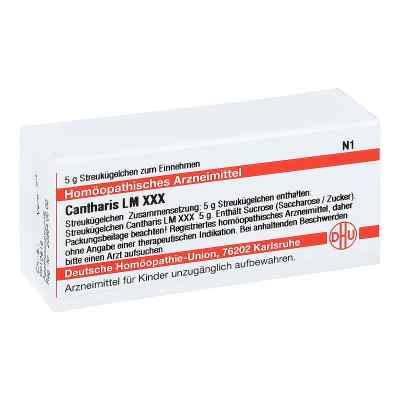 Lm Cantharis Xxx Globuli 5 g von DHU-Arzneimittel GmbH & Co. KG PZN 02677161