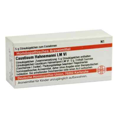Lm Causticum Vi Globuli Dhu Hahnemann 5 g von DHU-Arzneimittel GmbH & Co. KG PZN 02658956