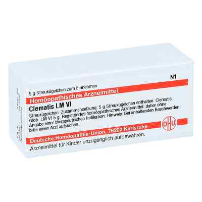 Lm Clematis Vi Globuli 5 g von DHU-Arzneimittel GmbH & Co. KG PZN 04503471
