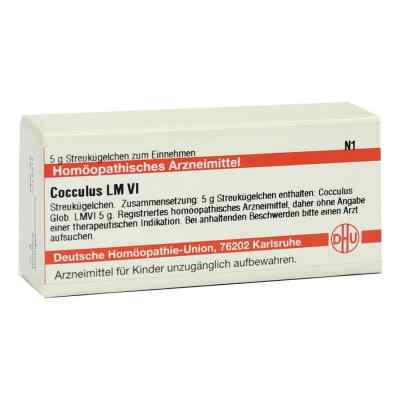 Lm Cocculus Vi Globuli 5 g von DHU-Arzneimittel GmbH & Co. KG PZN 02659068