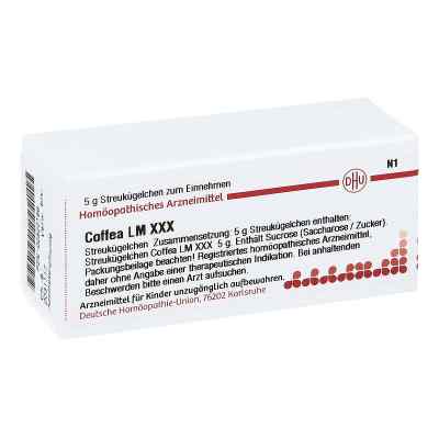 Lm Coffea Xxx Globuli 5 g von DHU-Arzneimittel GmbH & Co. KG PZN 02822166