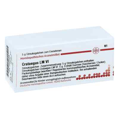Lm Crataegus Vi Globuli 5 g von DHU-Arzneimittel GmbH & Co. KG PZN 04503809