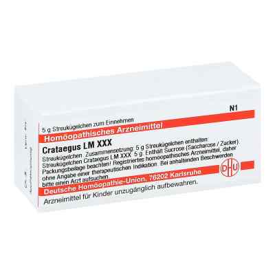 Lm Crataegus Xxx Globuli 5 g von DHU-Arzneimittel GmbH & Co. KG PZN 04503844