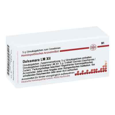 Lm Dulcamara Xii Globuli 5 g von DHU-Arzneimittel GmbH & Co. KG PZN 04504476