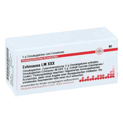 Lm Echinacea Hab Xxx Globuli 5 g von DHU-Arzneimittel GmbH & Co. KG PZN 04504565