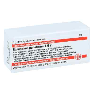 Lm Eupatorium Perf. Vi Globuli 5 g von DHU-Arzneimittel GmbH & Co. KG PZN 04504571