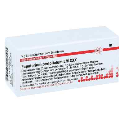 Lm Eupatorium Perf. Xxx Globuli 5 g von DHU-Arzneimittel GmbH & Co. KG PZN 04504619