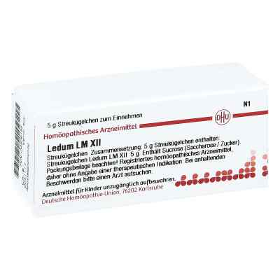 Lm Ledum Xii Globuli 5 g von DHU-Arzneimittel GmbH & Co. KG PZN 04506185