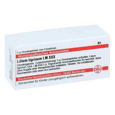 Lm Lilium Tigrinum Xxx Globuli 5 g von DHU-Arzneimittel GmbH & Co. KG PZN 04506274