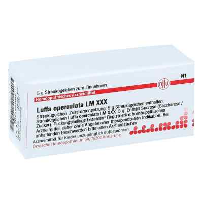 Lm Luffa Operculata Xxx Globuli 5 g von DHU-Arzneimittel GmbH & Co. KG PZN 04506446