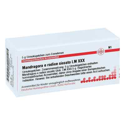 Lm Mandragora E Rad. Xxx Globuli 5 g von DHU-Arzneimittel GmbH & Co. KG PZN 04506593