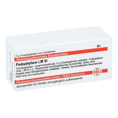 Lm Podophyllum Vi Globuli 5 g von DHU-Arzneimittel GmbH & Co. KG PZN 04508155