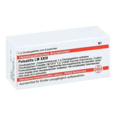 Lm Pulsatilla Xxiv Globuli 5 g von DHU-Arzneimittel GmbH & Co. KG PZN 02678746