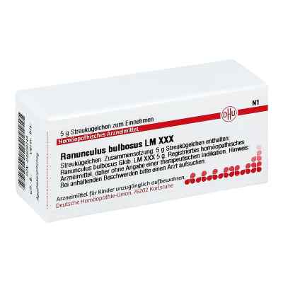 Lm Ranunculus Bulbos. Xxx Globuli 5 g von DHU-Arzneimittel GmbH & Co. KG PZN 04508244