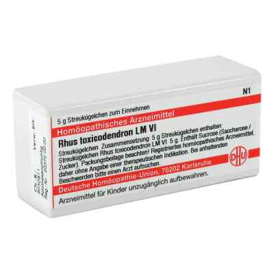 Lm Rhus Tox. Vi Globuli 5 g von DHU-Arzneimittel GmbH & Co. KG PZN 02659950