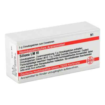Lm Silicea Vi Globuli 5 g von DHU-Arzneimittel GmbH & Co. KG PZN 02660048