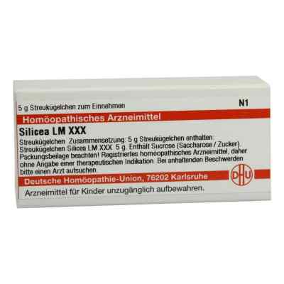 Lm Silicea Xxx Globuli 5 g von DHU-Arzneimittel GmbH & Co. KG PZN 02678901