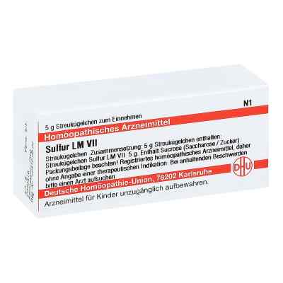 Lm Sulfur Vii Globuli 5 g von DHU-Arzneimittel GmbH & Co. KG PZN 07248447