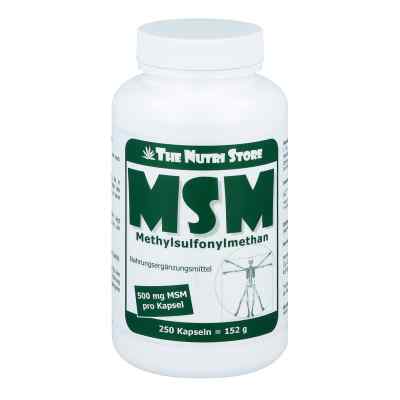 Msm 500 mg Methylsulfonylmethan Kapseln 250 stk von Hirundo Products PZN 05987815