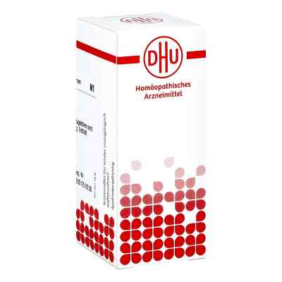 Opium C30 Globuli 10 g von DHU-Arzneimittel GmbH & Co. KG PZN 04230352