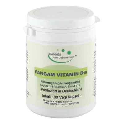 Pangam Vitamin B15 Vegi Kapseln 180 stk von G & M Naturwaren Import GmbH & Co. KG PZN 03868561
