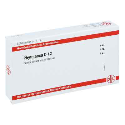 Phytolacca D12 Ampullen 8X1 ml von DHU-Arzneimittel GmbH & Co. KG PZN 11707688
