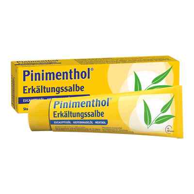 Pinimenthol Erkältungssalbe 50 g von Dr.Willmar Schwabe GmbH & Co.KG PZN 07779966