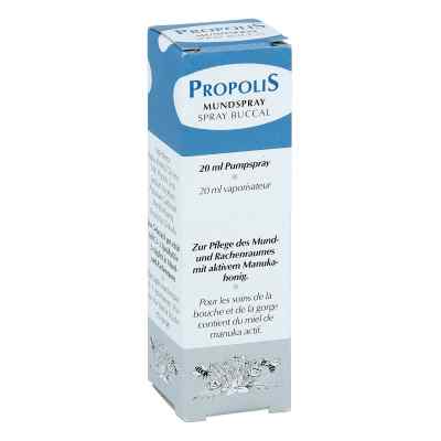 Propolis Pumpspray 20 ml von Health Care Products Vertriebs G PZN 00632846