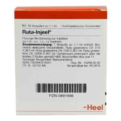 Ruta Injeel Ampullen