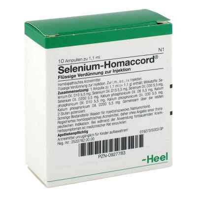 Selenium Homaccord Ampullen 10 stk von Biologische Heilmittel Heel GmbH PZN 00927783