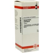 Sempervivum Tectorum Urtinktur 50 ml von DHU-Arzneimittel GmbH & Co. KG PZN 07249613