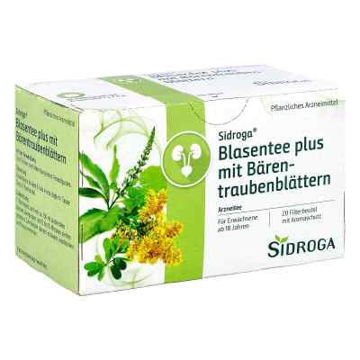 Sidroga Blasentee plus mit Bärentraubenblättern
