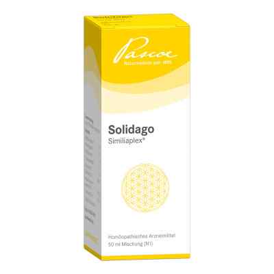 Solidago Similiaplex Tropfen 50 ml von Pascoe pharmazeutische Präparate GmbH PZN 05463785